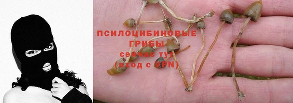 соль ск Куйбышев