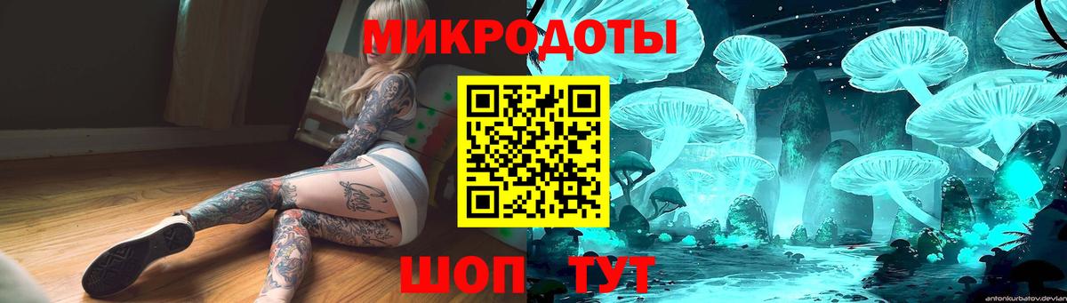 Галлюциногенные грибы Psilocybine cubensis  Вход с VPN  Екатеринбург 